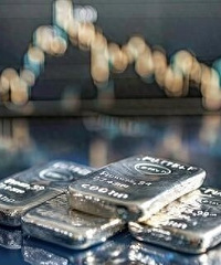 �����Ƿ��ˣ�����ɵ�����ղص���è���Ҷ�������һ�����ˡ�