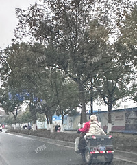 ��ƿ���ֳ����ڻ����������������𣿣���