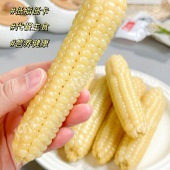 ��֬�ڱر�ĴָС����