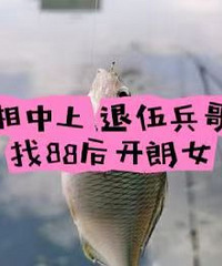 84�������������飡���̶��׷�