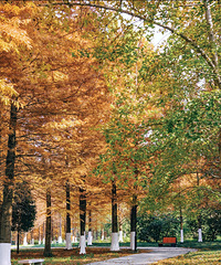 [����]�º�������ֵ�еȣ�85��Ůʿ��������µ�