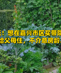 �������Ժ�ӵ� ���Ը���ĸ�ֲ˵�С����...