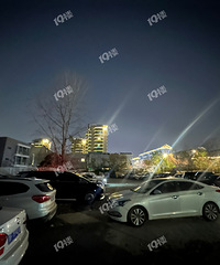 ���˵�ʥ���ڷ�Χ���Ǻ�Ũ�ģ�·���Ϻ���� ����ͣ���ˡ�