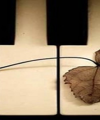 Ϊʲô����ѧ�����ˣ�