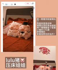 �����ռǣ����ɰ���ѹ�������ǣ�˽�ذ�