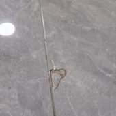 ��ש���ҳ�����ӣ�