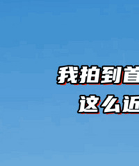 ף���Ҵ���ˣ�