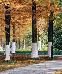 ���������ɾ� 85����Ů����