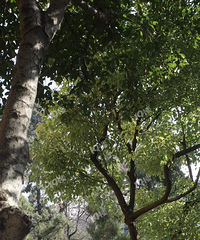 ��ĩȥ�������� ���ԤԼ��������ʵ����̫�����ˣ�