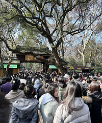 ��ĩȥ�������� ���ԤԼ��������ʵ����̫�����ˣ�