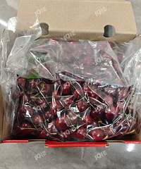 ����һ������� ���������ŷ��һ�ѣ���л19¥���ҵĳ����ӣ�