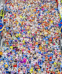 �㽭��������������������2026����������ɶ���11�£�