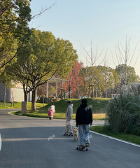 ��ĩȥ���빫԰�������д�ƻᰥ�����շ�Χ�Ѿ������ˡ�