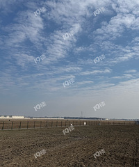 ȥ���˻��� ���޳�����ʶ �����˲��� ��ϧû�����ɻ���