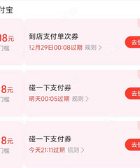 ����ҷ���һ��֧������һ��С��������ķ�����