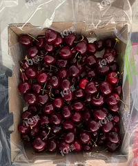 [��ת��]��19¥�鵽��5�ﳵ�����յ������������ܴ�