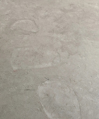 ë����������ӡ����ɶ