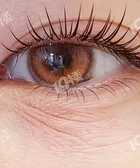 ����ʫ˫����˪��