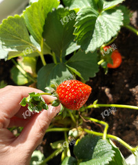 �ˣ����������ҵ���̨��ݮ��