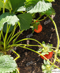 �ˣ����������ҵ���̨��ݮ��