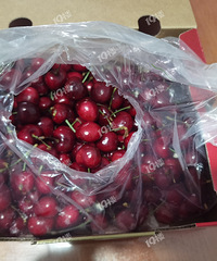 ��ת���н��ĳ����ӵ��ˣ�Ʒ�ʷǳ�������