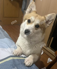 Ѱ����ʾ�������� �Ǹ������� ������ ������ б������ʧ��