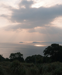 ��һ��վ�ڷ��������Ҷ�ӹ�ͷ���н���ĺ�Х�� ���𺳵���