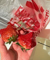 ���ǵĲ�ݮ���򿪺ü��������������ǡ� �����ǵģ�������ô�ˣ�