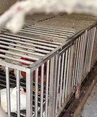 ����������...�¸¸¸¸�...ͩ��һ���̸���ֳ���ֳ��ֳ���