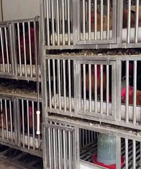 ����������...�¸¸¸¸�...ͩ��һ���̸���ֳ���ֳ��ֳ���