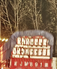 Ԫ����ͩ�翪����·���󳵳��� �����̫ţ�˹���