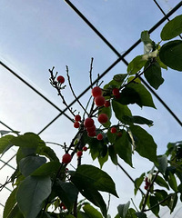 ���ƺ��԰���������ʱ��ȥ�ȽϺ��� ���Բ�ժ