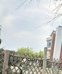 ����ȥ���ŵľ������˼��� ѡ���˱��ص�С����ת��ת��