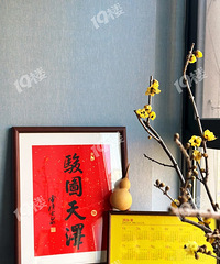 ��������2026������Ըף����19¥��������������������