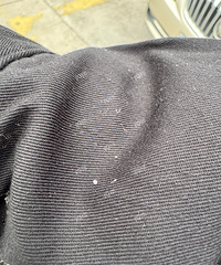 ������ѩ���������ڿ�ʼ�е�Сѩ�������ˡ�