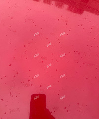 ������ѩ���������ڿ�ʼ�е�Сѩ�������ˡ�