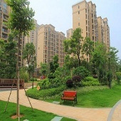 ���м������µĸо���