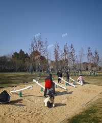 Ԫ�������иж��������빫԰�ٶ���԰�������ù�� ������