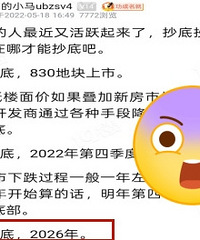 ���ѻع�21��Ԥ��ȫ�У�26�귿�ۻ�����