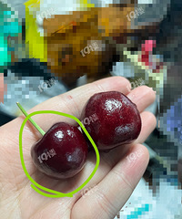 [�²�]�����ɽķ��3J�����ӱ�ˮ�����2J��ҪС��