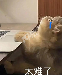 ����˰�����ղ��ˣ����ַ����۳�����ӿ������