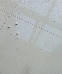 [װ��������]¥���ھ�װ�ޣ������굽�Ҽ����ˣ�������...