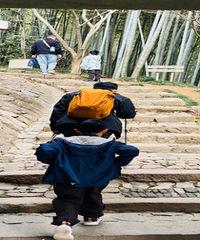 ����ͽ����ɽ�ŵ� ����Ǹ�����