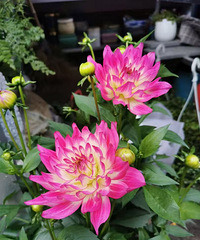 ����ƽ������ȥ��԰�� ��ϲ���ĵط�����ȥ�ºӹ��