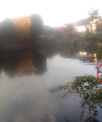 �����ܵ��ˣ�������������ȣ������Ű������º�����