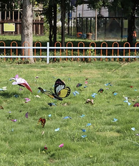 ���ڶ�ͯ��ĵط����� 80��Сʱ���������ܶ�