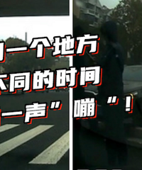 զ���������̻�����