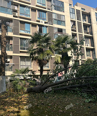 С����ҵ���컯�տ���С����ľ�������ѷ�������������˵��