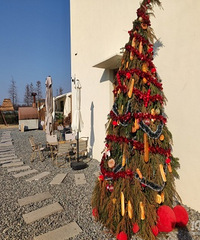 ���򿨼��˽��ڳ����Ҥ���������ľԤ��?�¸���