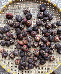 ��¼һ�����ڼ�����ѹ����������ܽ���ǣ����ֵ÷���